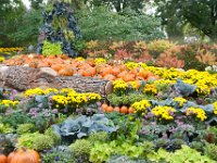 2019 Morton Arboretum Fall Scarecrows